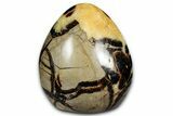 Free-Standing, Polished Septarian - Madagascar #349881-1